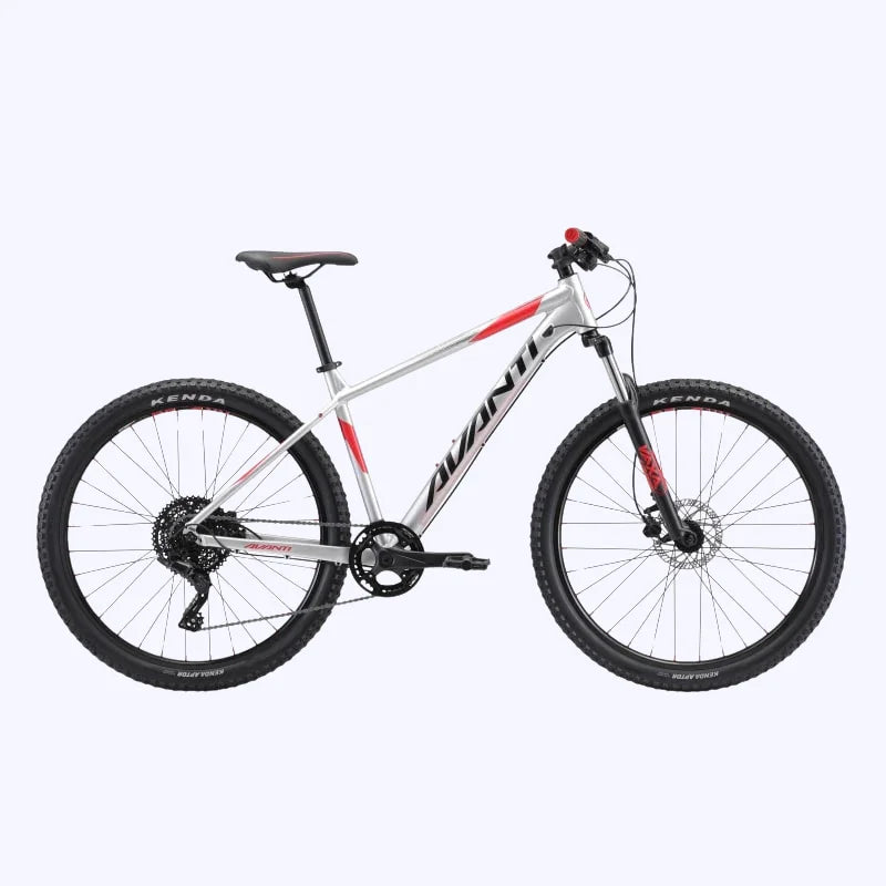 Avanti Montari MS1 MTB Mountain Bike Rental
