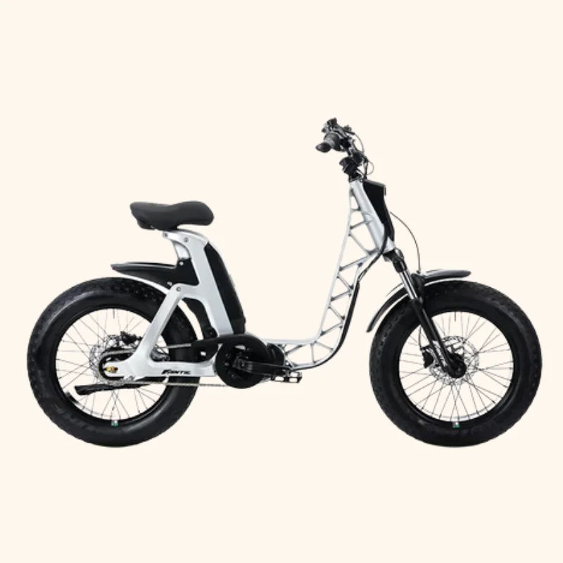 Fantic Issimo Urban e-Bike Bike Rental